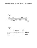 MOLECULE FOR TREATING AN INFLAMMATORY DISORDER diagram and image
