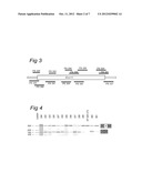 MOLECULE FOR TREATING AN INFLAMMATORY DISORDER diagram and image