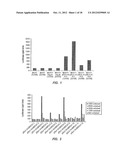 BRCA1-Based Breast or Ovarian Cancer Prevention Agents and Methods of Use diagram and image