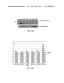 BRCA1-Based Breast or Ovarian Cancer Prevention Agents and Methods of Use diagram and image