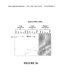 AFFINITY LIGANDS AND METHODS FOR PROTEIN PURIFICATION diagram and image