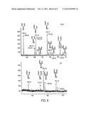 MONOCLONAL ANTIBODIES WITH ENHANCED ADCC FUNCTION diagram and image