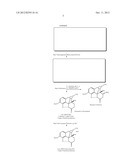 LOW ABUK OXYCODONE, ITS SALTS AND METHODS OF MAKING SAME diagram and image