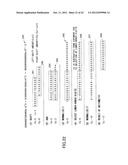 ARITHMETIC CIRCUIT, ARITHMETIC PROCESSING APPARATUS AND METHOD OF     CONTROLLING ARITHMETIC CIRCUIT diagram and image