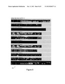 Multimedia Test Systems diagram and image