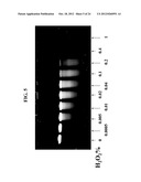 SOLUTIONS, METHODS AND KITS FOR DEACTIVATING NUCLEIC ACIDS diagram and image