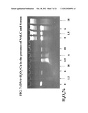 SOLUTIONS, METHODS AND KITS FOR DEACTIVATING NUCLEIC ACIDS diagram and image