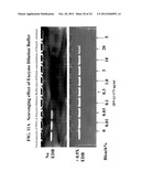 SOLUTIONS, METHODS AND KITS FOR DEACTIVATING NUCLEIC ACIDS diagram and image