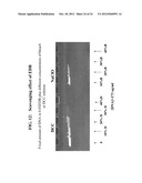 SOLUTIONS, METHODS AND KITS FOR DEACTIVATING NUCLEIC ACIDS diagram and image