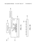 CONTAMINATION INSPECTION diagram and image