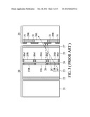 STEREOSCOPIC IMAGE DISPLAYS diagram and image