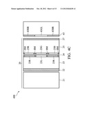 STEREOSCOPIC IMAGE DISPLAYS diagram and image