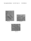 BLUE PHASE LIQUID CRYSTAL NANOCOMPOSITES AND DEVICES CONTAINING THE SAME diagram and image