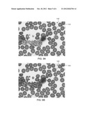 Measuring Volume and Constituents of Cells diagram and image