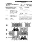 METHOD FOR IMPROVING COERCIVE FORCE OF EPSILON-TYPE IRON OXIDE, AND     EPSILON-TYPE IRON OXIDE diagram and image