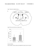 COMPOSITION COMPRISING CELL AND BIOCOMPATIBLE POLYMER diagram and image