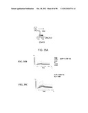 Engineering Fc Antibody Regions to Confer Effector Function diagram and image