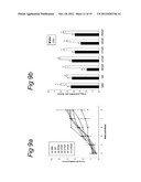 USE OF AN L3 AND/OR L5 SOURCE AS A VACCINE OR AS A DIAGNOSTIC FOR A     PARASITIC DISEASE diagram and image