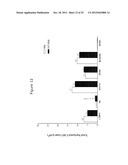 Uses of North American Ginseng Fractions for Treating Leukemia diagram and image