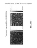 SENSORS AND SEPARATION BASED ON MOLECULAR RECOGNITION VIA     ELECTROPOLYMERIZATION AND COLLOIDAL LAYER TEMPLATES diagram and image