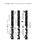 SENSORS AND SEPARATION BASED ON MOLECULAR RECOGNITION VIA     ELECTROPOLYMERIZATION AND COLLOIDAL LAYER TEMPLATES diagram and image