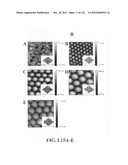 SENSORS AND SEPARATION BASED ON MOLECULAR RECOGNITION VIA     ELECTROPOLYMERIZATION AND COLLOIDAL LAYER TEMPLATES diagram and image