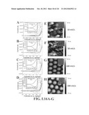 SENSORS AND SEPARATION BASED ON MOLECULAR RECOGNITION VIA     ELECTROPOLYMERIZATION AND COLLOIDAL LAYER TEMPLATES diagram and image