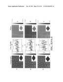 SENSORS AND SEPARATION BASED ON MOLECULAR RECOGNITION VIA     ELECTROPOLYMERIZATION AND COLLOIDAL LAYER TEMPLATES diagram and image