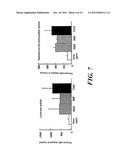 METHOD OF MEASURING HUMAN CYP3A INDUCIBILITY diagram and image