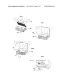 Disposable Device for the Detection of Particles of Interest, Such as     Biological Entities, Detection System Comprising Said Device and Method     for Using Same diagram and image