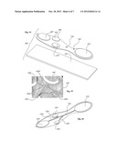 Disposable Device for the Detection of Particles of Interest, Such as     Biological Entities, Detection System Comprising Said Device and Method     for Using Same diagram and image