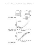 METHODS AND APPARATUS FOR THE MANIPULATION OF PARTICLE SUSPENSIONS AND     TESTING THEREOF diagram and image