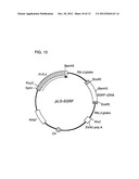 CYTOKINE-LIKE PROTEINS diagram and image