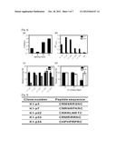 Diagnostic Marker for Hepatocellular Carcinoma Comprising Anti-FASN     Autoantibodies and a Diagnostic Composition for Hepatocellular Carcinoma     Comprising Antigens Thereof diagram and image