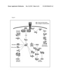 METHOD FOR QUANTIFYING BIOMOLECULES diagram and image