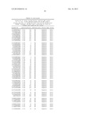 MHC PEPTIDE COMPLEXES AND USES THEREOF IN INFECTIOUS DISEASES diagram and image