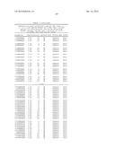 MHC PEPTIDE COMPLEXES AND USES THEREOF IN INFECTIOUS DISEASES diagram and image