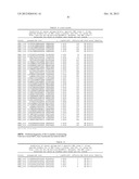 MHC PEPTIDE COMPLEXES AND USES THEREOF IN INFECTIOUS DISEASES diagram and image