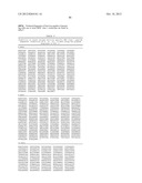 MHC PEPTIDE COMPLEXES AND USES THEREOF IN INFECTIOUS DISEASES diagram and image