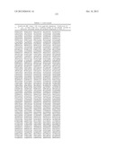 MHC PEPTIDE COMPLEXES AND USES THEREOF IN INFECTIOUS DISEASES diagram and image