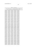 MHC PEPTIDE COMPLEXES AND USES THEREOF IN INFECTIOUS DISEASES diagram and image