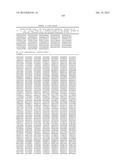 MHC PEPTIDE COMPLEXES AND USES THEREOF IN INFECTIOUS DISEASES diagram and image