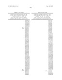 MHC PEPTIDE COMPLEXES AND USES THEREOF IN INFECTIOUS DISEASES diagram and image