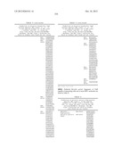 MHC PEPTIDE COMPLEXES AND USES THEREOF IN INFECTIOUS DISEASES diagram and image