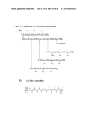 MHC PEPTIDE COMPLEXES AND USES THEREOF IN INFECTIOUS DISEASES diagram and image