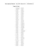 MHC PEPTIDE COMPLEXES AND USES THEREOF IN INFECTIOUS DISEASES diagram and image