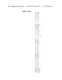 MHC PEPTIDE COMPLEXES AND USES THEREOF IN INFECTIOUS DISEASES diagram and image