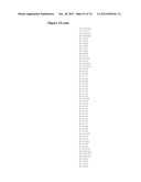 MHC PEPTIDE COMPLEXES AND USES THEREOF IN INFECTIOUS DISEASES diagram and image