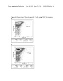 MHC PEPTIDE COMPLEXES AND USES THEREOF IN INFECTIOUS DISEASES diagram and image