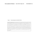 Protein from Photobacterium Damselae and Use Thereof diagram and image